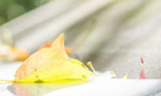 六年级反比例的特点 适合六年级的头像