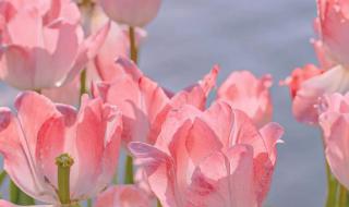 2022最新图片 2022最新图片