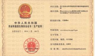 安全员c证证书怎么补办 安全证书错误怎么办